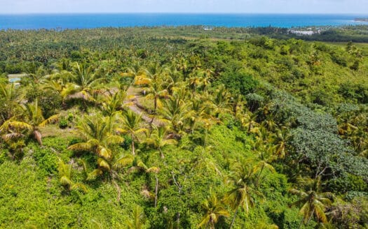 Hill with ocean view by Coson beach