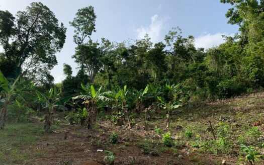 Convenient building lots in Barbacoa