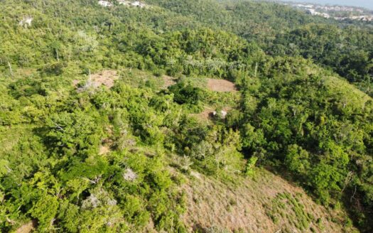 Convenient building lots in Barbacoa