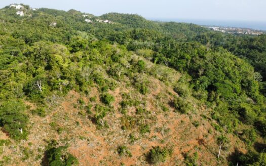 Convenient building lots in Barbacoa