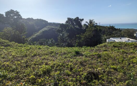 Ideal land for building a dream villa in Las Terrenas