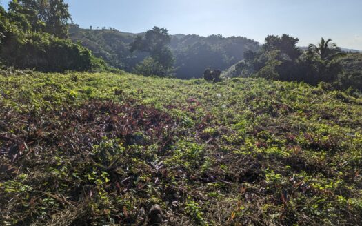 Ideal land for building a dream villa in Las Terrenas