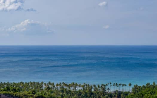 Luxurious 3 & 4-BR villas with unparalleled ocean views