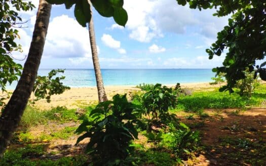 Exceptional land with hills above Coson beach