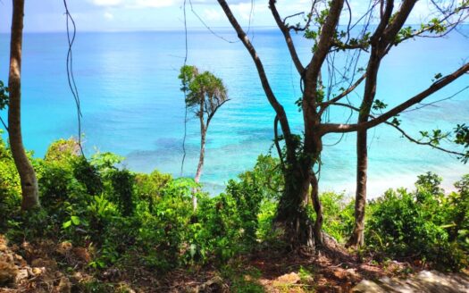 Exceptional land with hills above Coson beach