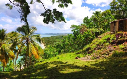 Exceptional land with hills above Coson beach