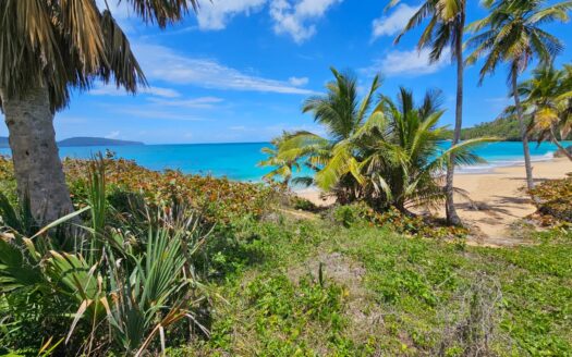 Rare Beachfront Land for Sale in Las Galeras