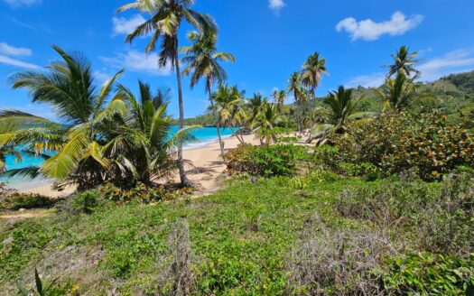 Rare Beachfront Land for Sale in Las Galeras