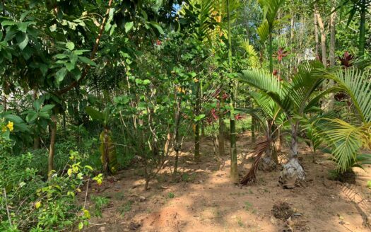 Incredible land opportunity near the beach
