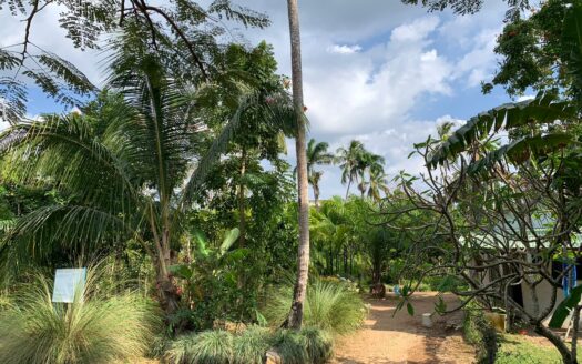 Incredible land opportunity near the beach