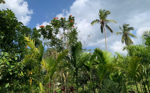 Incredible land opportunity near the beach