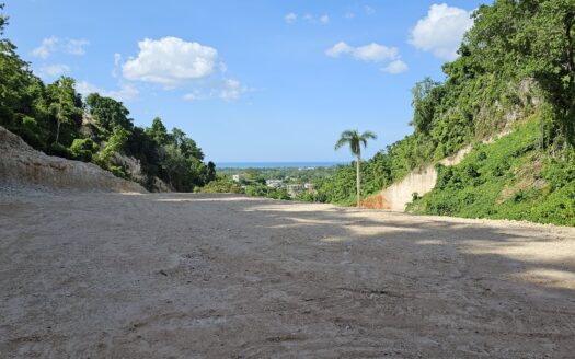 Ocean view lot in gated community