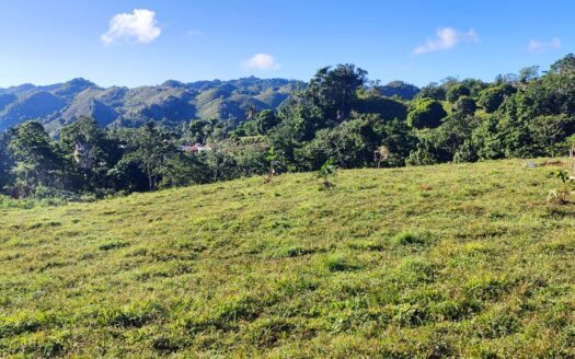 Lot with natural source and ocean view