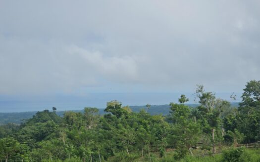Lot with natural source and ocean view