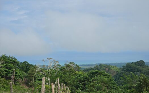 Lot with natural source and ocean view