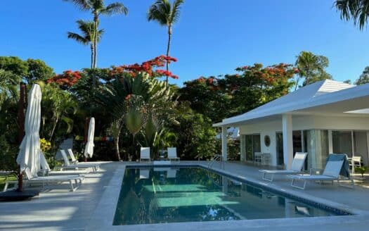 Beautiful villa with minimalist design in the city center