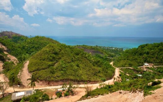 Lots with ocean view first line in Coson