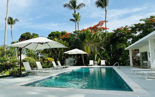 Beautiful villa with minimalist design in the city center