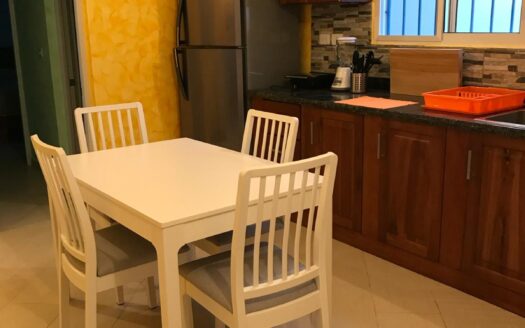Charming 2-BR condo in downtown