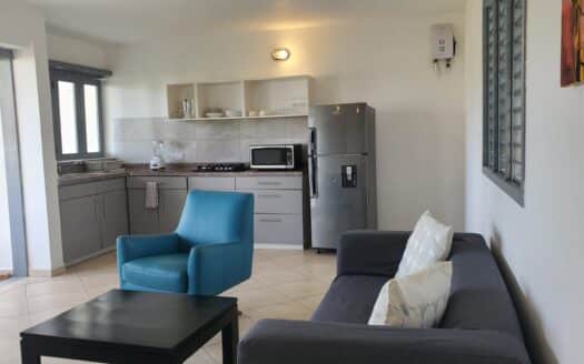 2-BR Penthouse in Punta Poppy