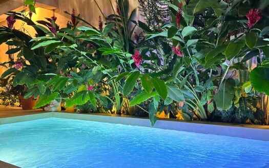 Luxurious villa in the heart of Las Terrenas