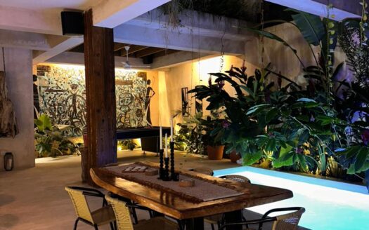 Luxurious villa in the heart of Las Terrenas