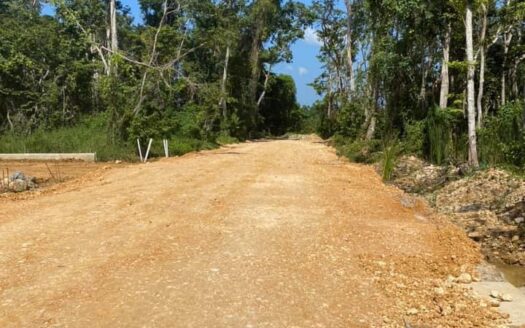 Affordable lot steps to Punta Popy beach