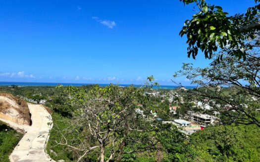 Ocean View Lot on the Boulevard