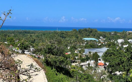 Ocean View Lot on the Boulevard