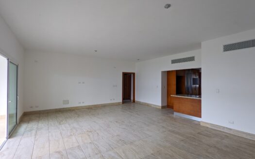 Spacious condo with rooftop terrace