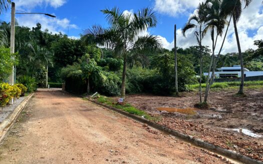 Lot in a peaceful tropical community