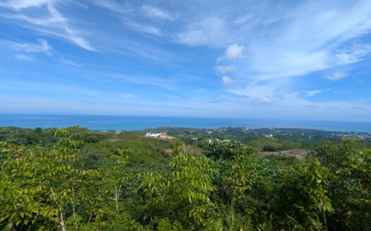 Spacious 1-BR tax-free villa
