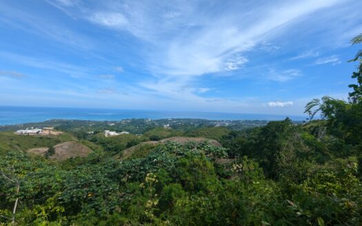 Spacious 1-BR tax-free villa