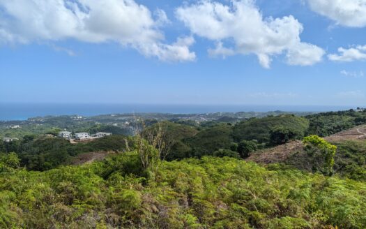 4-BR free property tax ocean view villa