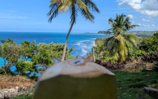 Exceptional land with hills above Coson beach