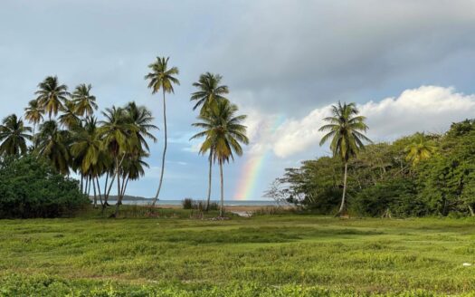 Incredible development land opportunity for a mega tourism project