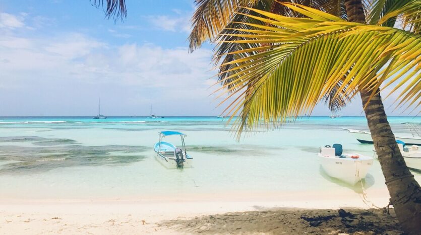 Sunset over Saona Island with palm trees silhouetted against colorful skies