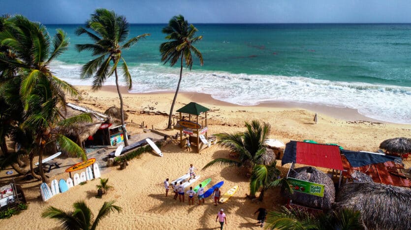 Palm trees swaying on Macau Beach, Dominican Republic, with turquoise ocean waves.
