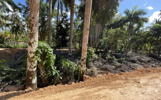 Prime Investment Opportunity 200m from Coson Beach