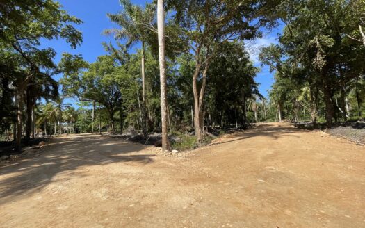 Prime Investment Opportunity 200m from Coson Beach
