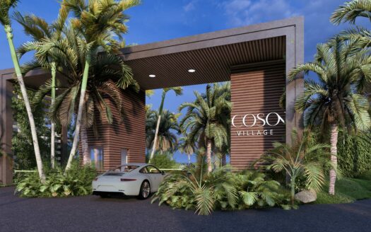 Prime Investment Opportunity 200m from Coson Beach