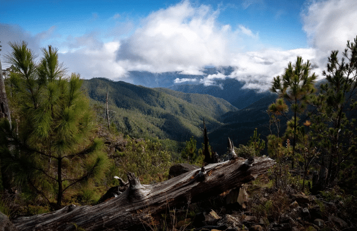 Hikers ascending Pico Duarte trail in the Dominican Republic surrounded by mountain scenery