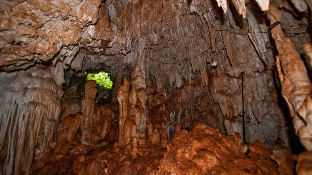 Taino petroglyphs carved into cave walls in the Dominican Republic