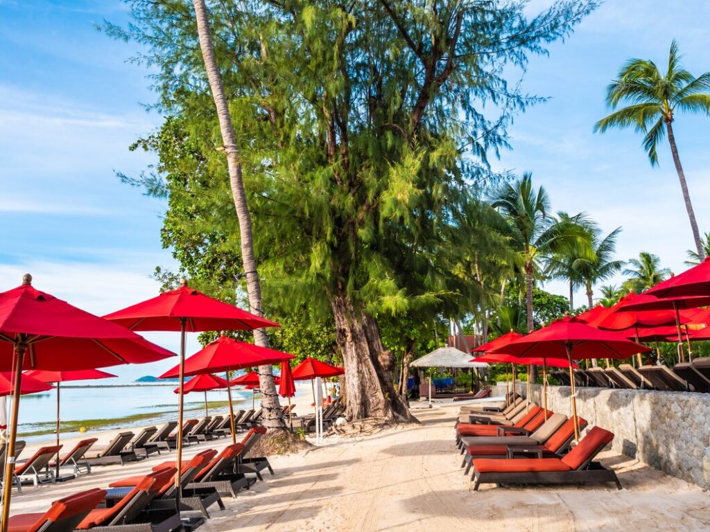 Business owner evaluating lease and purchase options for commercial space in the Dominican Republic