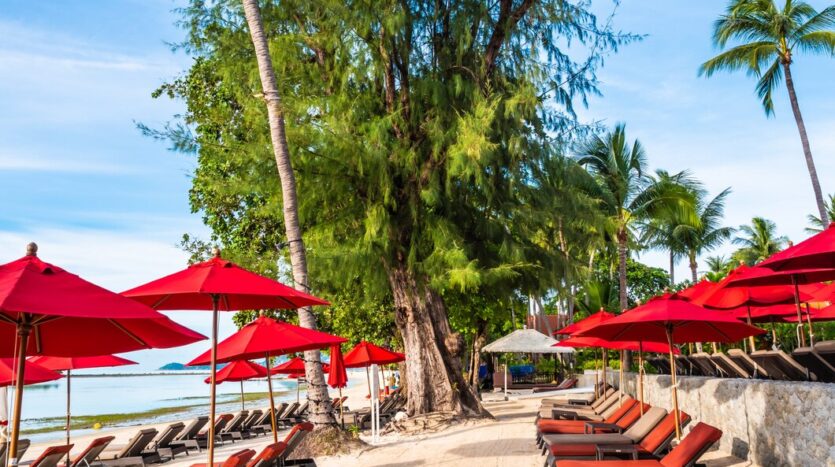 Business owner evaluating lease and purchase options for commercial space in the Dominican Republic