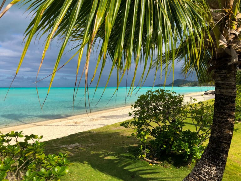A beautiful residential neighborhood in Las Terrenas with modern homes and lush tropical surroundings.