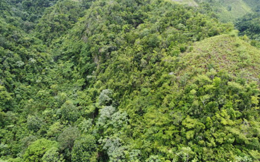 Prime ocean view development land in Coson