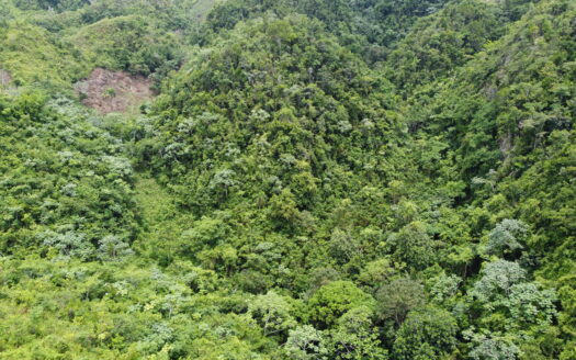 Prime ocean view development land in Coson