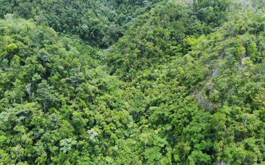 Prime ocean view development land in Coson