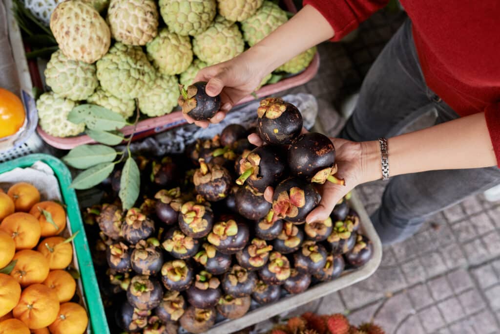 Fresh tropical fruits like mangoes, papayas, and pineapples on display at a Dominican Republic market stall.